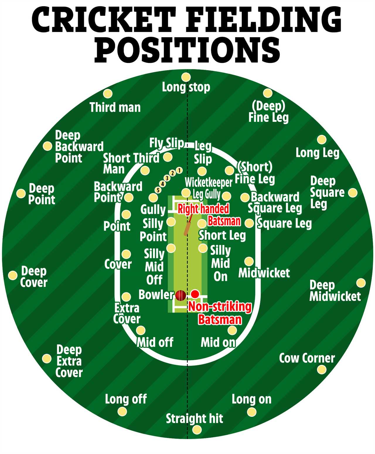 How Did Cricket Fielding Positions Get Their Names