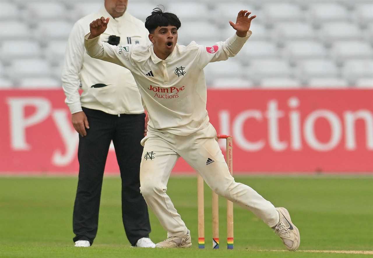 a cricket player wearing a shirt that says john paye auctions