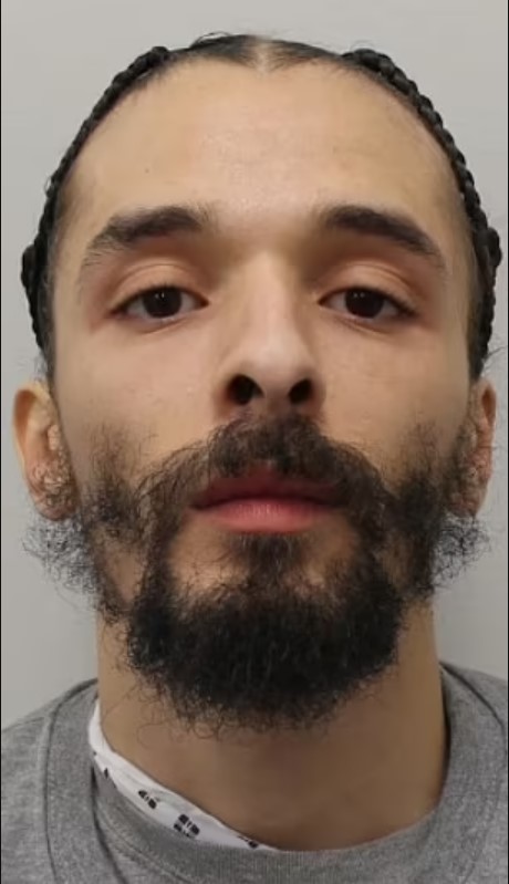 a man with a beard and braids is looking at the camera .