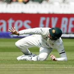 Steve Smith