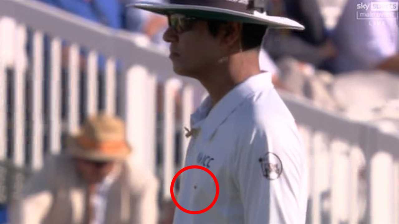 Cricket umpire with a small mark on his shirt.